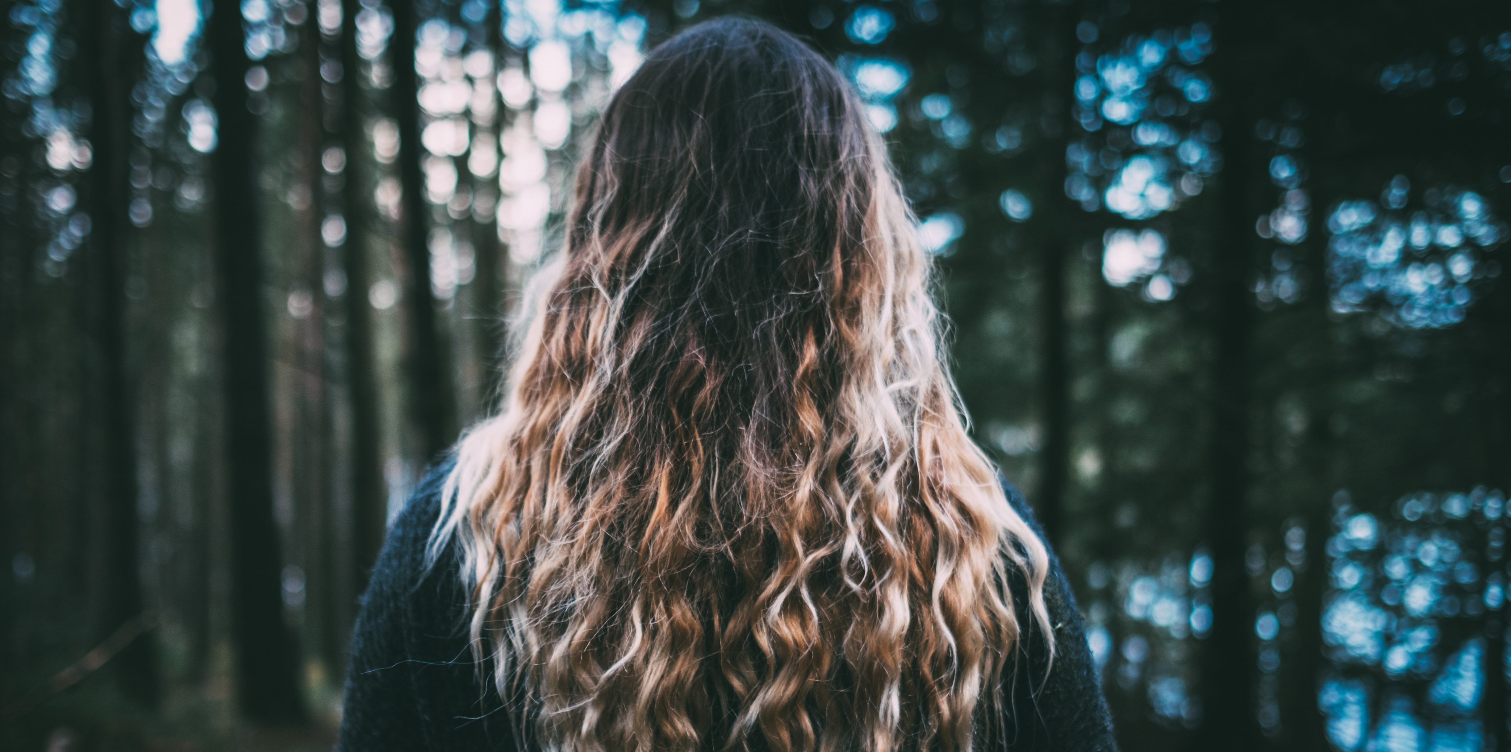 asmund-gimre-496906-unsplash